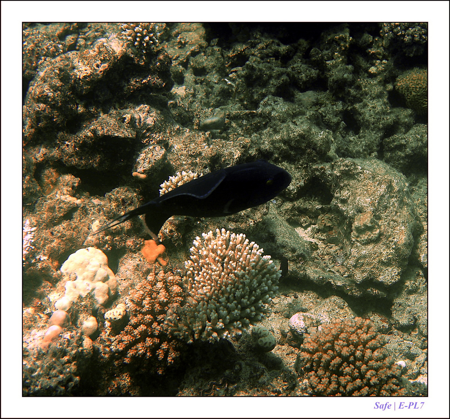 Hurghada - Juillet 2021 - 063